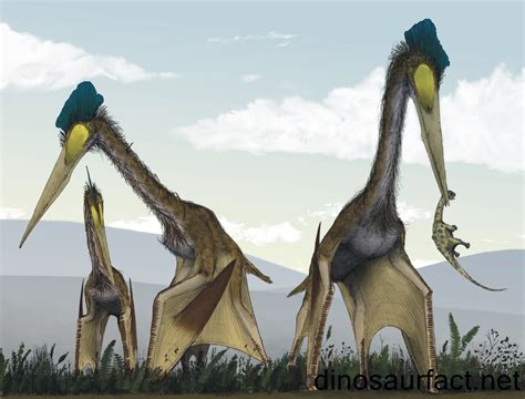  Quetzalcoatlus! A Giant Flying Reptile With Feathers That Defied Gravity